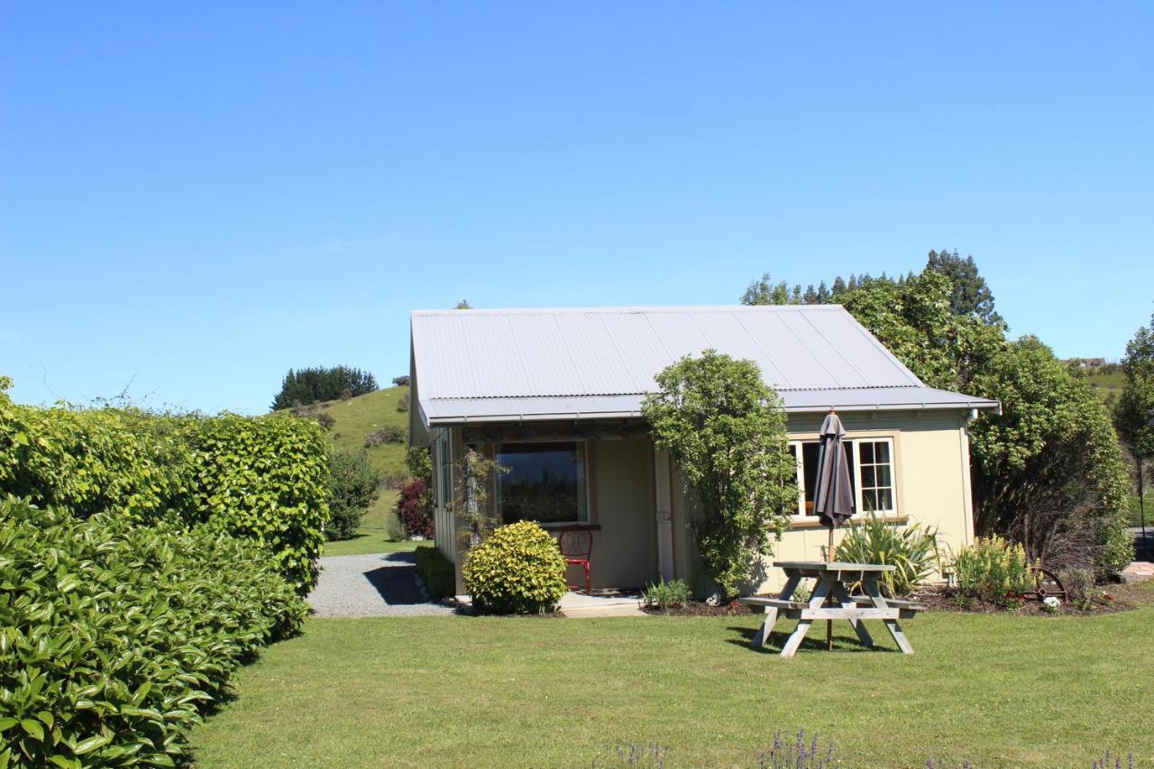 Blue Thistle Cottages Te Anau Luaran gambar